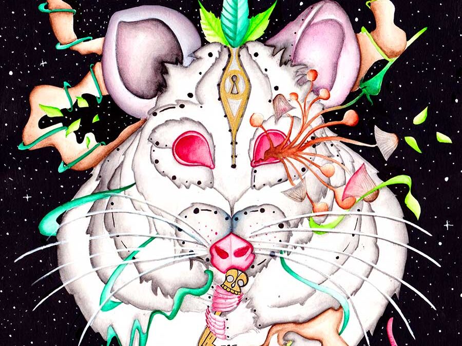 Rat