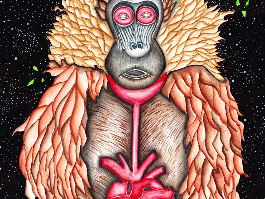 The heart is everything