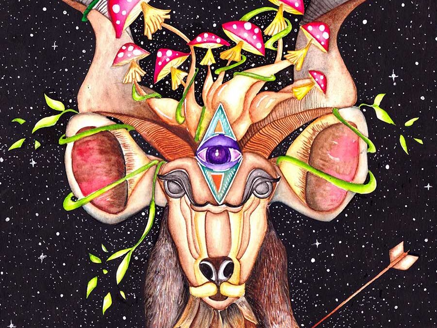 The mushrooms dream