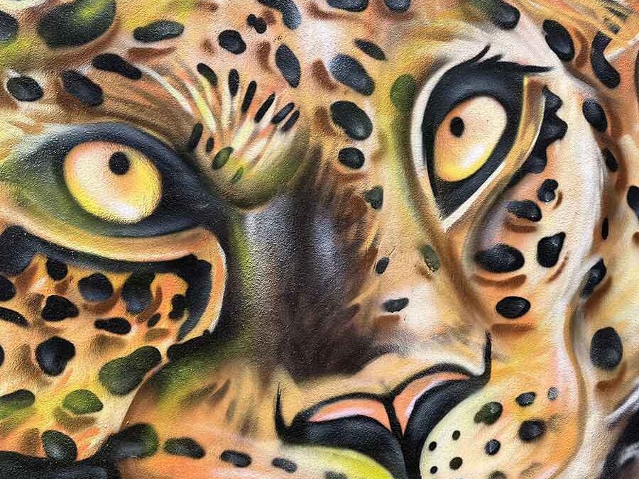 jungle