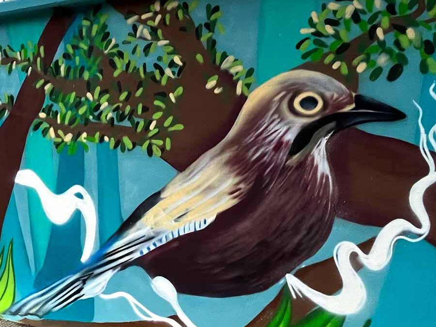 Native Birds